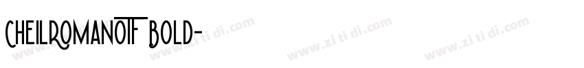 CheilRomanOTF Bold字体转换